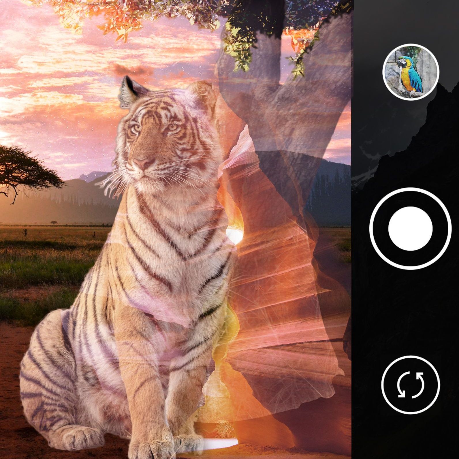 An image collage featuring a tiger next to a tree